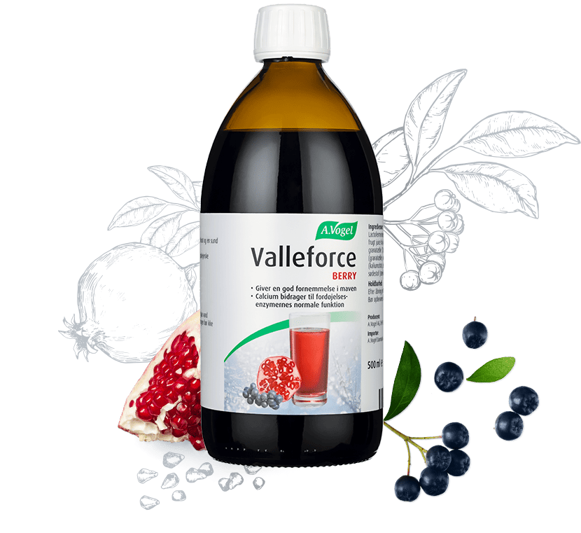 Se Valleforce Original Berry 500 ml. ✔ Kæmpe udvalg i Bolig Magasin - Køb online på udsalg og tilbud lige nu ✔ Lav fragtpris og hurtig levering - Varenummer: Helsegrossisten-4061 og 7610313415977 på lager - Udsalg på Sundhed > Mave og fordøjelse > Få op til 67% i rabat - Shop populære mærker fra over 2.739 mærker