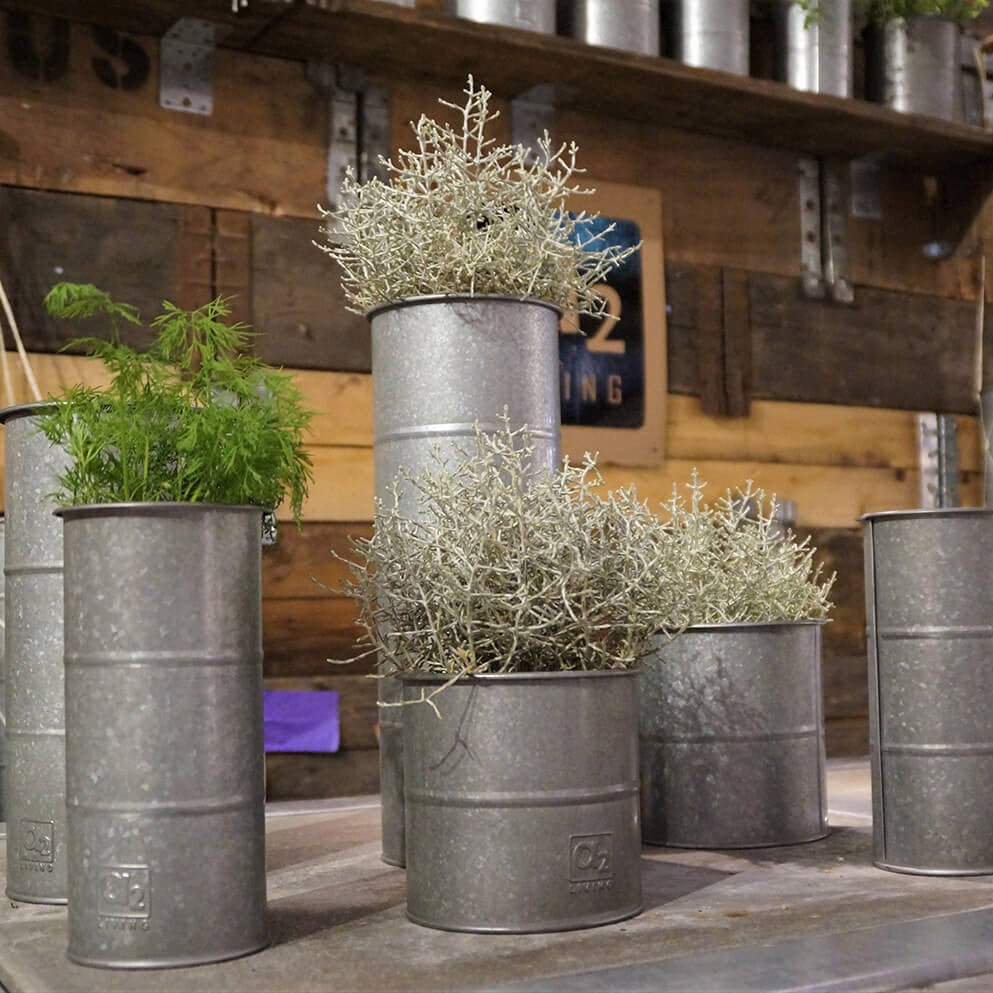 Se Maceta - Urtepotte i galvaniseret metal, seks potter ❤ Kæmpe udvalg i 3-nordic - Køb online på udsalg og tilbud lige nu ❤ Billig fragt og hurtig levering - Varenummer: 3-nordic-3630 og barcode / Ean: på lager - Udsalg på Haven - Lys, liv og opbevaring Spar stort – op til 71% - Over 2.739 kendte brands på stort udsalg