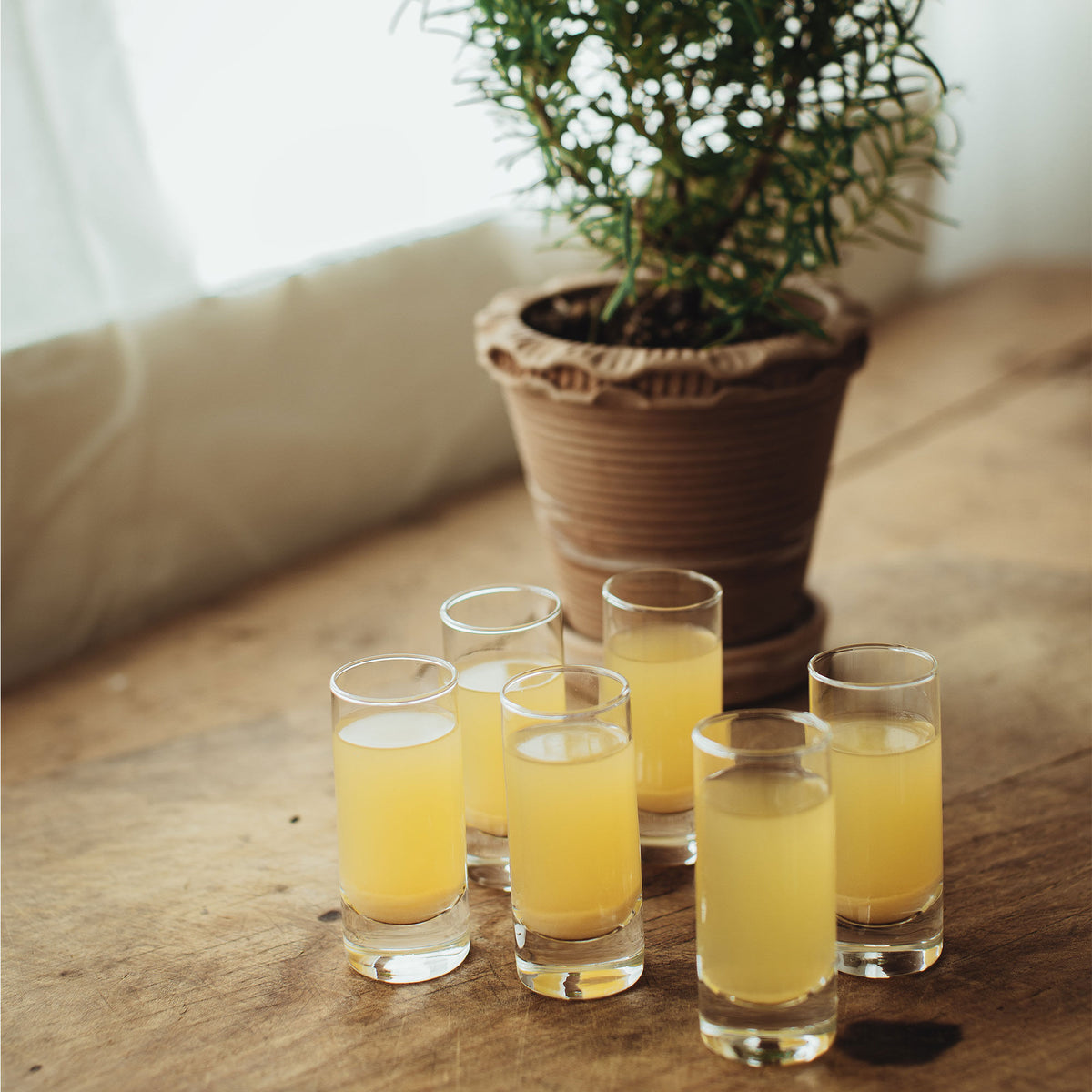 Sæt med seks Dorre Saba snapseglas på 6 cl i lige cylindrisk form