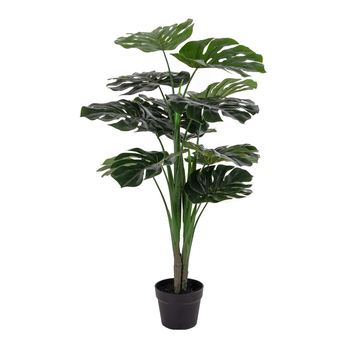 Se Monstera kunstige plante - 90cm ❤ Kæmpe udvalg i Zederkof - Køb online på udsalg og tilbud lige nu ❤ Meget billig fragt og hurtig levering - Varenummer: Zederkof-85840 - Udsalg på Interiør - Dekor og accessories - Kunstige planter Få op til 63% i rabat - Find over 1.798 brands på udsalg