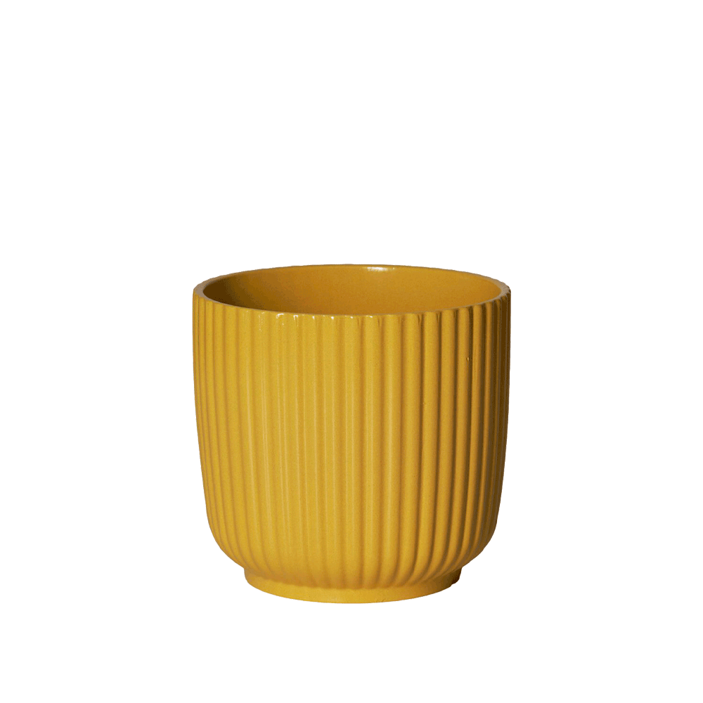 Gul Olivia urtepotteskjuler i keramik med rillet overflade fra Edelweiss, 13 cm