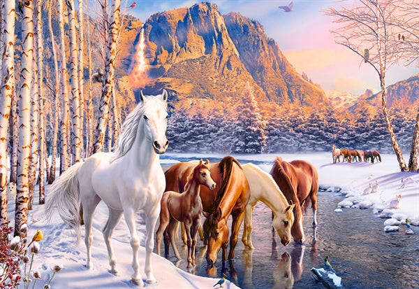 Castorland puslespil Winter Melt med 500 brikker