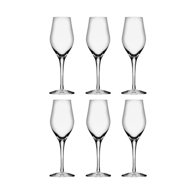 Se Orrefors Sense champagneglas 25,5 cl 6-pak Klar ✔ Kæmpe udvalg i Orrefors ✔ Hurtig levering: 1 - 2 Hverdage samt billig fragt - Varenummer: KTT-582248-01 og barcode / Ean: '7321646040001 på lager - Udsalg på Servering - Glas - Champagneglas Spar op til 56% - Over 1160 kendte mærker på udsalg
