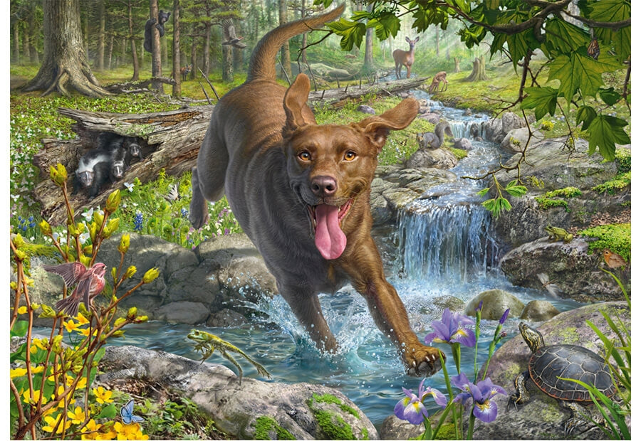 Schmidt puslespil Springtime Cavorting with a Labrador Retriever, 1000 brikker