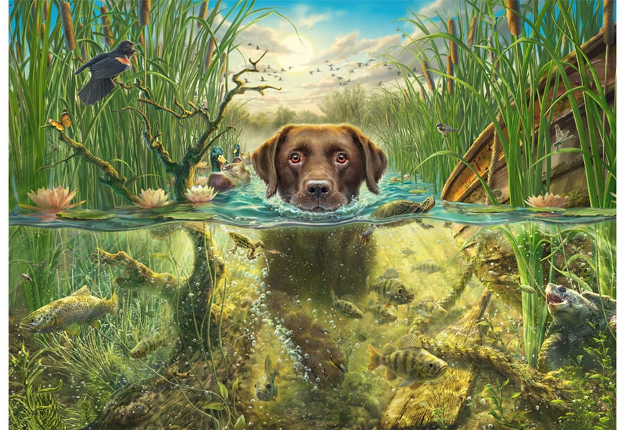 Schmidt puslespil Chocolate Labrador Takes a Cool Dip med 1000 brikker