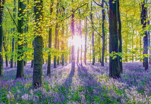 Schmidt puslespil Tranquil Bluebell Woods med 1000 brikker