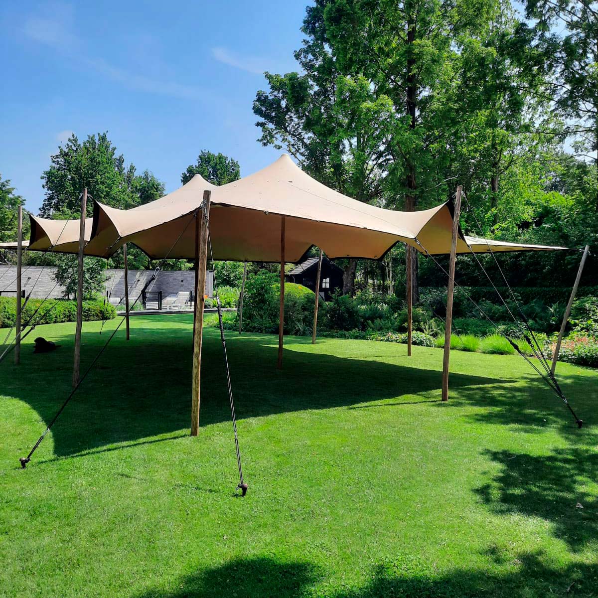 Se Stretch Tent - 7,5x10,5m dug - Komplet - Sand ❤ Kæmpe udvalg i Zederkof - Køb online på udsalg og tilbud lige nu ❤ Super billig fragt og lynhurtig levering - Varenummer: Zederkof-84411 - Udsalg på Telte - Stretchtent - Stretchtent Komplet Få op til 67% i rabat - Shop udsalg fra mere end 1.798 mærker