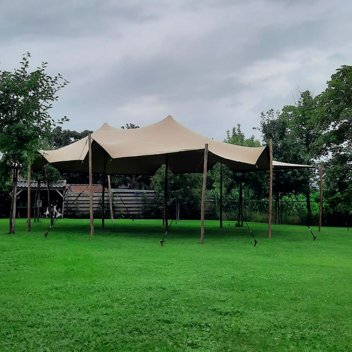 Se Stretch Tent - 6x6m dug - Komplet - Sand ❤ Kæmpe udvalg i Zederkof - Køb online på udsalg og tilbud lige nu ❤ Hurtig levering til lave fragtpriser - Varenummer: Zederkof-85928 - Udsalg på Telte - Stretchtent - Stretchtent Komplet Spar helt op til 79% - Stort udsalg på over 739 brands