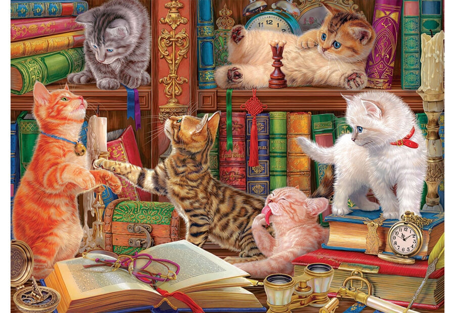 Eurographics puslespil Library Kittens med 1000 brikker