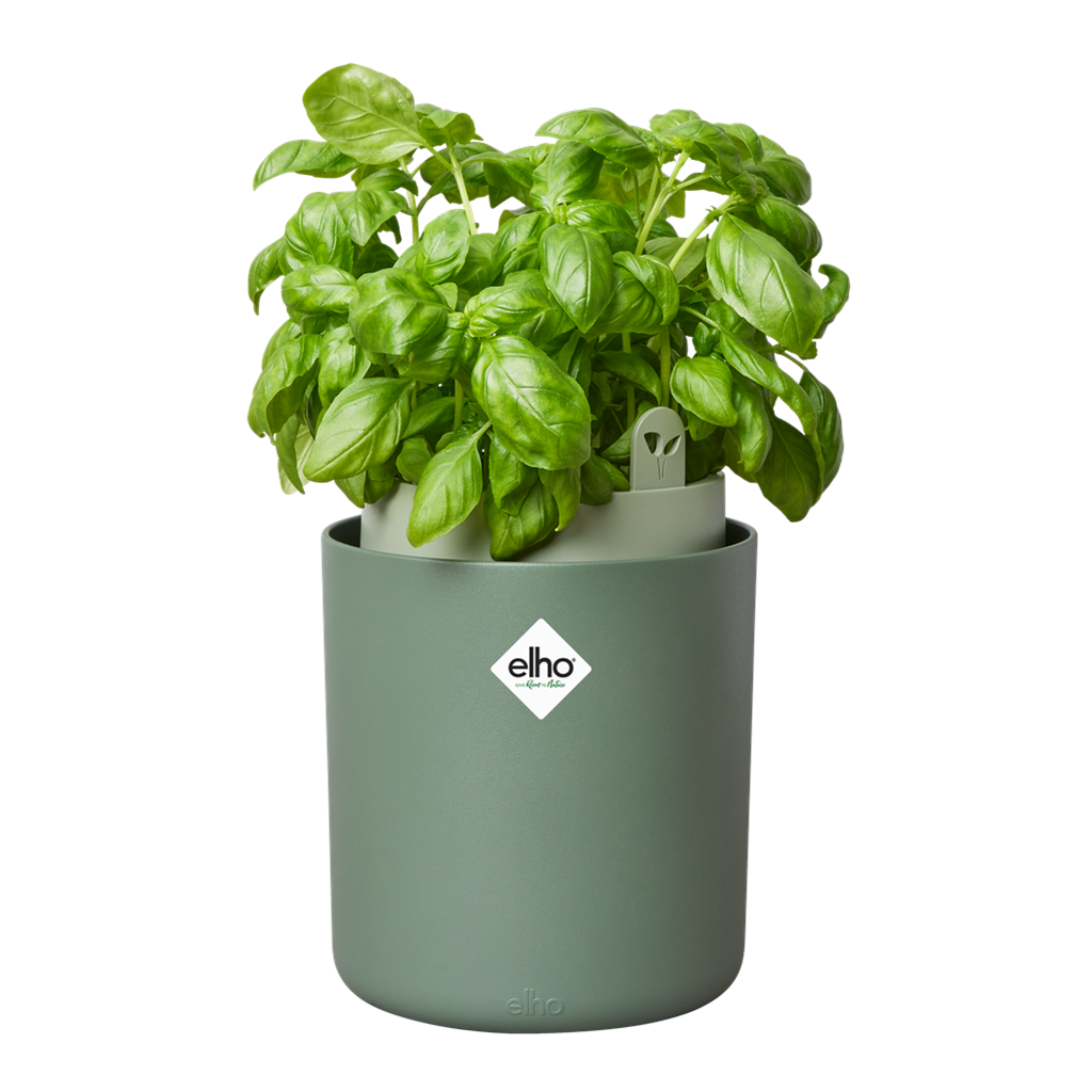 Se Elho - Gropotte basilikum, Leaf green, H21 cm ❤ Kæmpe udvalg i Elho - Køb online på udsalg og tilbud lige nu ❤ Super billig fragt og lynhurtig levering - Varenummer: Bolig&Haven-47956416856394 og barcode / Ean: 8711904520892 på lager - Udsalg på Få op til 63% i rabat - Over 1.798 brands samlet på udsalg