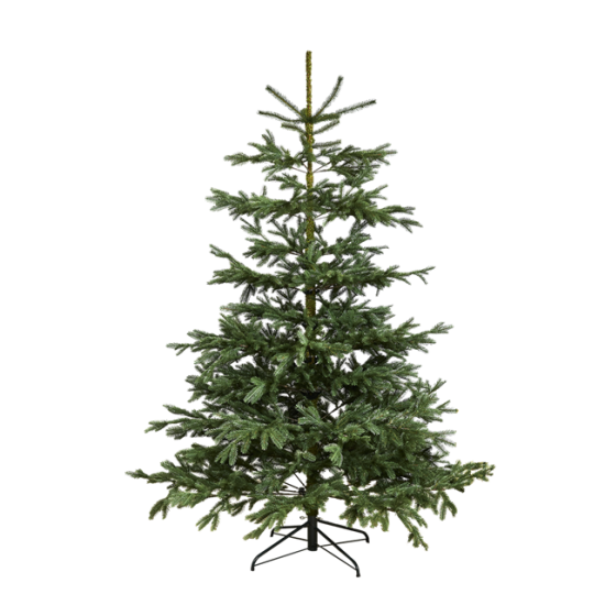 Se Juletræ kunstig PE "Limited Edition", Klasse A+, 200X144 cm u/LED ❤ Kæmpe udvalg i Nordic Winter - Køb online på udsalg og tilbud lige nu ❤ Meget billig fragt og hurtig levering - Varenummer: Bolig&Haven-43821853180156 og barcode / Ean: 5705858719856 på lager - Udsalg på Spar stort – op til 59% - Over 2.739 kendte brands på stort udsalg