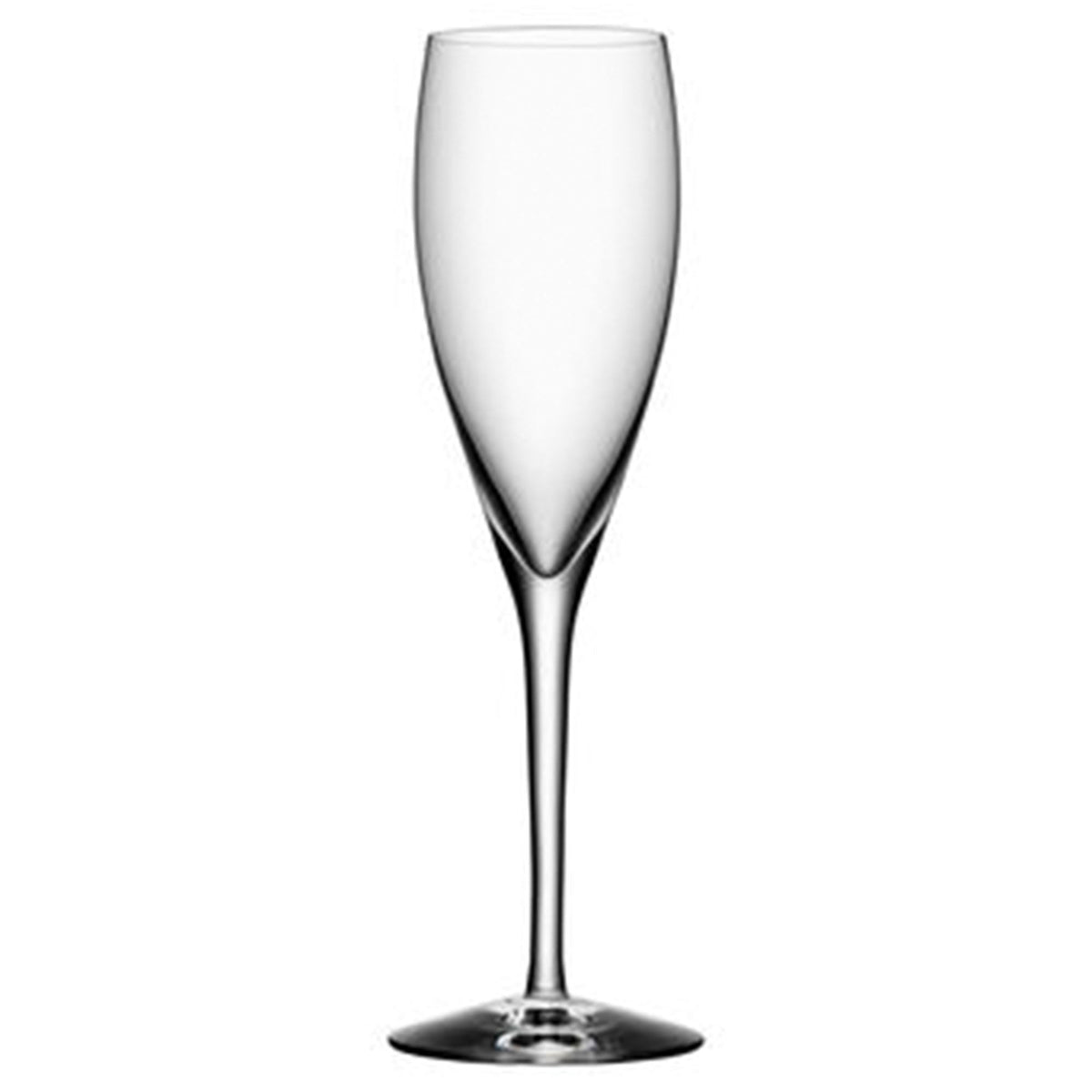 Orrefors More champagneglas 18 cl, sæt med 12 stk.