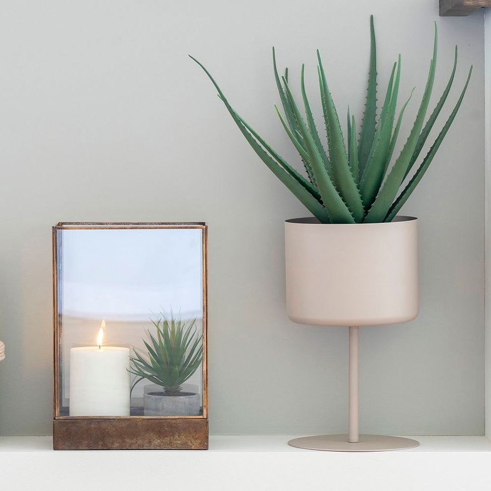 Se Aloe Vera - kunstig grøn plante, højde 51 cm. ❤ Kæmpe udvalg i 3-nordic - Køb online på udsalg og tilbud lige nu ❤ Billig fragt • Hurtig levering - Varenummer: 3-nordic-8506 og barcode / Ean: 5713917033317 på lager - Udsalg på Boligtilbehør - Accessories Store besparelser – op til 77% - Shop over 2.281 kendte brands på udsalg