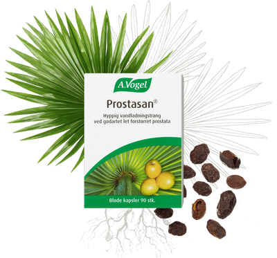 A. Vogel Prostasan 90 kaps.