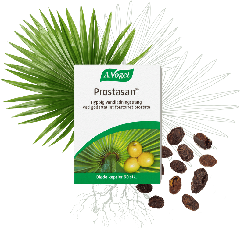 A. Vogel Prostasan 90 kaps.