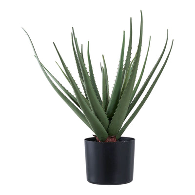 Se Aloe Vera - Kunstig Plante, Grøn H:51 Cm ❤ Kæmpe udvalg i HouseNordic ❤ Hurtig levering: 1 - 2 Hverdage samt billig fragt - Varenummer: BBM-48498618007829 og barcode / Ean: '5713917033317 på lager - Udsalg på Alle produkter, Kunstige blomster, Nyheder, Udsolgte produkter Spar op til 64% - Over 1300 kendte brands på udsalg