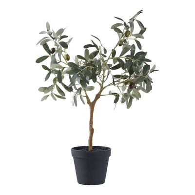 Se Oliventræ - Kunstig Plante, Grøn H:61 Cm ❤ Kæmpe udvalg i HouseNordic ❤ Hurtig levering: 1 - 2 Hverdage samt billig fragt - Varenummer: BBM-48498625020181 og barcode / Ean: '5713917033324 på lager - Udsalg på Alle produkter, Kunstige blomster, Nyheder, Udsolgte produkter Spar op til 62% - Over 1300 kendte brands på udsalg