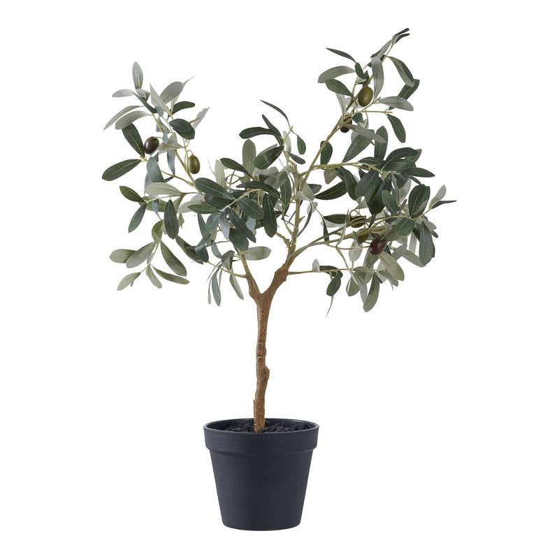 Se Oliventræ - Kunstig Plante, Grøn H:61 Cm ❤ Kæmpe udvalg i HouseNordic ❤ Hurtig levering: 1 - 2 Hverdage samt billig fragt - Varenummer: BBM-48498625020181 og barcode / Ean: &