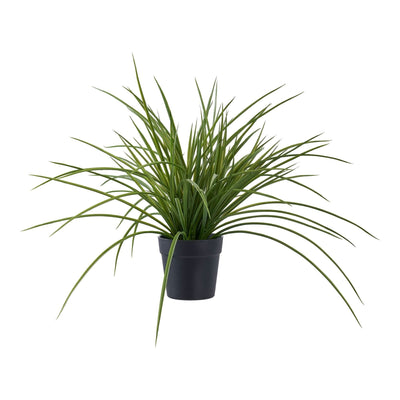 Se Græs - Kunstig Plante, Grøn H:45 Cm ❤ Kæmpe udvalg i HouseNordic ❤ Hurtig levering: 1 - 2 Hverdage samt billig fragt - Varenummer: BBM-48498621612309 og barcode / Ean: '5713917033331 på lager - Udsalg på Alle produkter, Kunstige blomster, Nyheder, Udsolgte produkter Spar op til 63% - Over 1300 kendte brands på udsalg