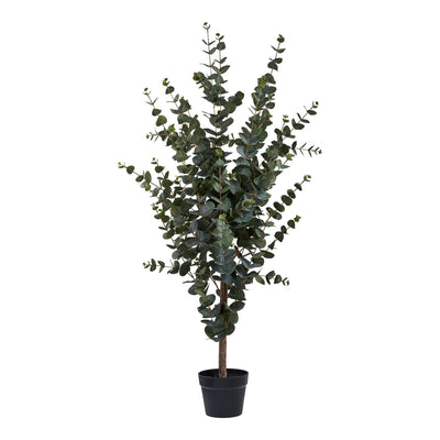 Se Eukalyptus Træ - Kunstig Plante, Grøn H:120 Cm ❤ Kæmpe udvalg i HouseNordic ❤ Hurtig levering: 1 - 2 Hverdage samt billig fragt - Varenummer: BBM-48498621514005 og barcode / Ean: '5713917031368 på lager - Udsalg på Alle produkter, Nyheder, Plante, Udsolgte produkter Spar op til 64% - Over 1300 kendte brands på udsalg