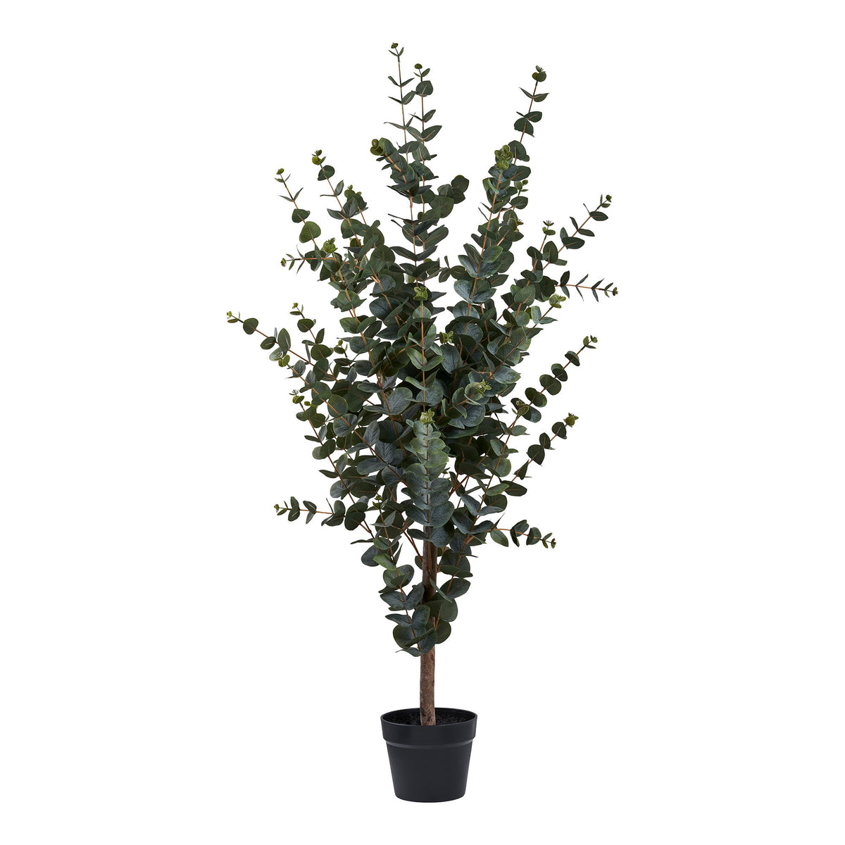 Se HOUSE NORDIC Eukalyptus træ kunstig plante - grøn PE plastik, polyester, ståltråd, cement (H:120cm) ❤ Kæmpe udvalg i House Nordic - Køb online på udsalg og tilbud lige nu ❤ Meget billig fragt og hurtig levering: 1 - 2 hverdage - Varenummer: Boboonline-115214 og barcode / Ean: 5713917031368 på lager - Udsalg på Interiør,Dekoration,Kunstige planter og blomster,
Interiør,
Dekoration,
Møbler til hjemmekontoret,
Kunstige planter, Spar op til 51% - Over 785 kendte brands på udsalg