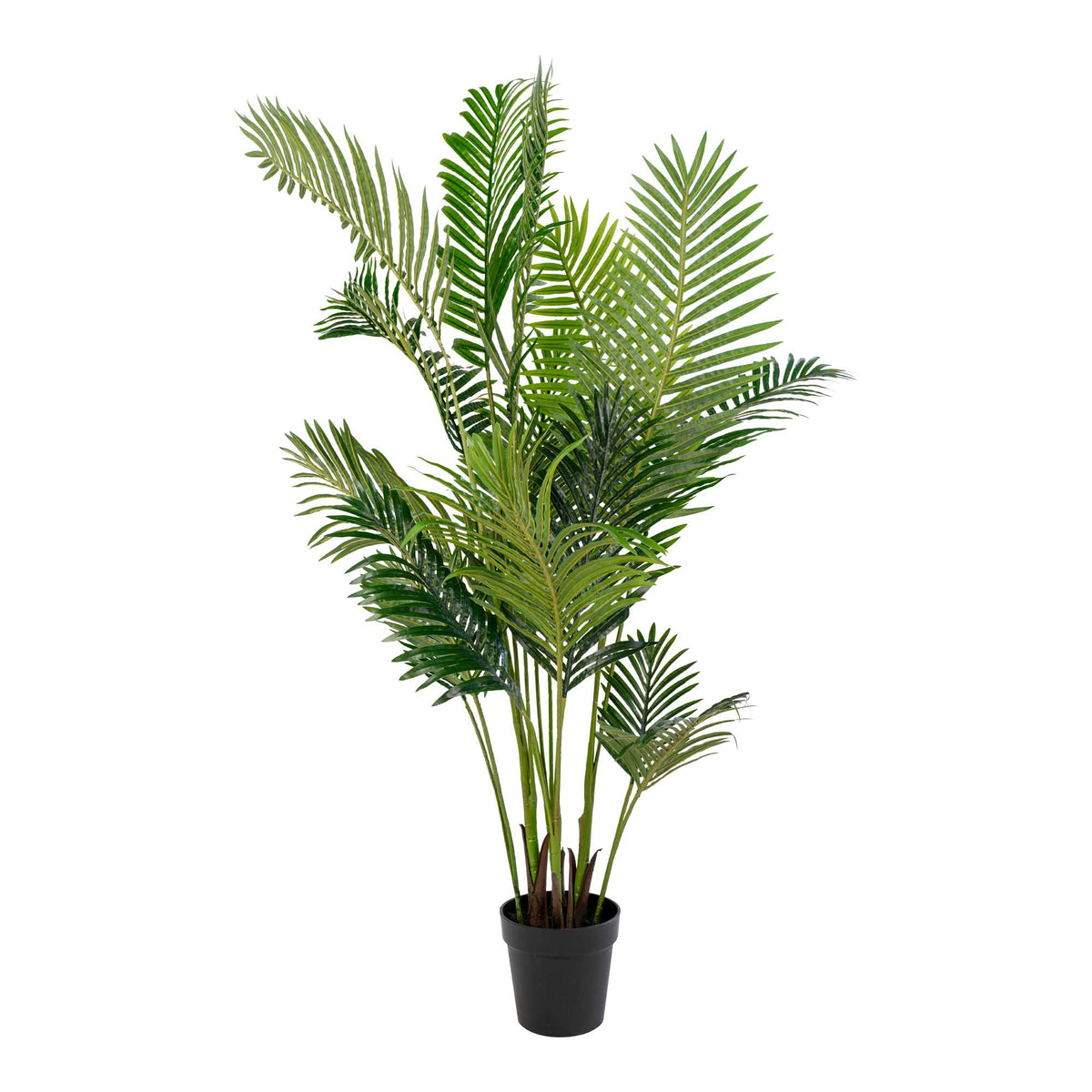 Se HOUSE NORDIC kunstig Areca palme - grøn plastik og polyester (H:175) ❤ Kæmpe udvalg i House Nordic - Køb online på udsalg og tilbud lige nu ❤ Lav fragtpris og hurtig levering - Varenummer: Boboonline-52713 og barcode / Ean: 5713917004492 på lager - Udsalg på Interiør,Dekoration,Kunstige planter og blomster,
Dekoration,
Møbler til hjemmekontoret,
Interiør, Op til 57% rabat - Kendte mærker på udsalg – over 1.329 brands