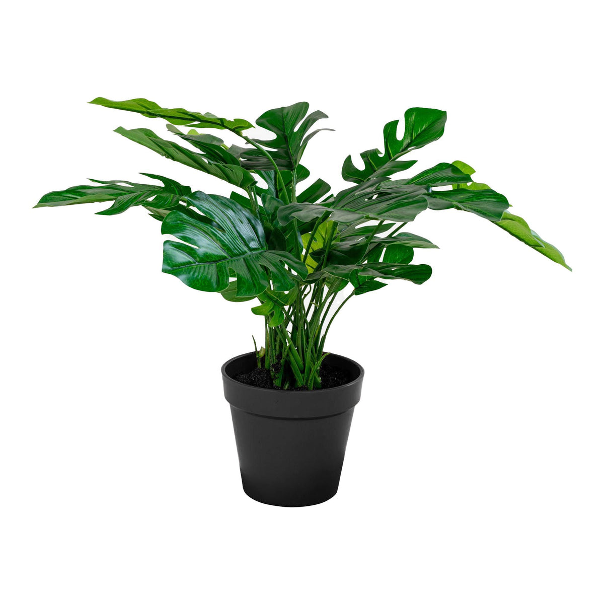 Se Monstera - Kunstig plante 45 cm ❤ Kæmpe udvalg i House Nordic - Køb online på udsalg og tilbud lige nu ❤ Hurtig levering til lave fragtpriser - Varenummer: Bolig&Haven-42135253549308 og barcode / Ean: 5713917004515 på lager - Udsalg på Op til 63% rabat - Kendte mærker på udsalg – over 1.329 brands