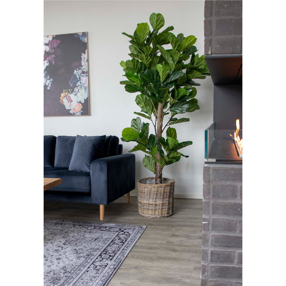Se Fiddle Violinfigen - Kunstig plante 190 cm ❤ Kæmpe udvalg i House Nordic - Køb online på udsalg og tilbud lige nu ❤ Lav fragtpris og hurtig levering - Varenummer: Bolig&Haven-42135253745916 og barcode / Ean: 5713917004522 på lager - Udsalg på Få op til 63% i rabat - Over 1.798 brands samlet på udsalg