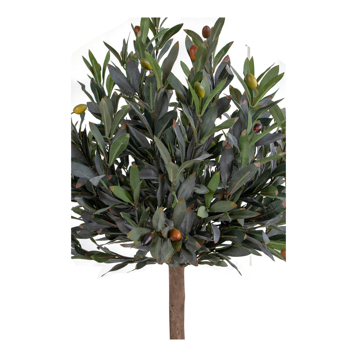 Se Oliventræ - Kunstigt plante 120 cm ❤ Kæmpe udvalg i House Nordic - Køb online på udsalg og tilbud lige nu ❤ Billig fragt • Hurtig levering - Varenummer: Bolig&Haven-42135253876988 og barcode / Ean: 5713917004539 på lager - Udsalg på Få op til 67% i rabat - Find over 1.798 brands på udsalg