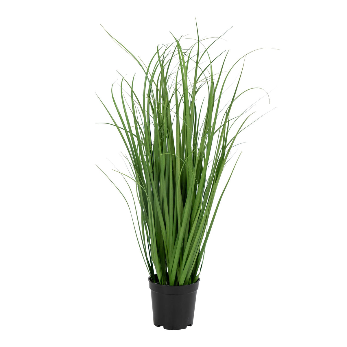 Se Poa Grass - Kunstigt Poa grass ❤ Kæmpe udvalg i House Nordic - Køb online på udsalg og tilbud lige nu ❤ Lav fragtpris og hurtig levering - Varenummer: Bolig&Haven-42135255023868 og barcode / Ean: 5713917008773 på lager - Udsalg på Op til 63% rabat - Over 1.329 brands på online udsalg