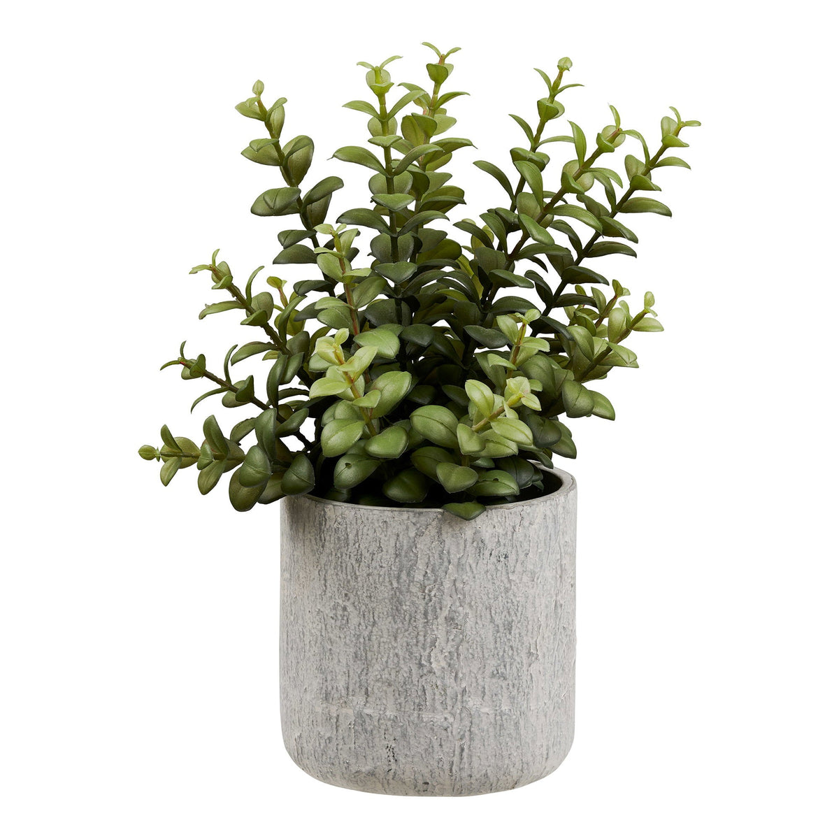 Kunstig succulent i cementpotte fra House Nordic i grøn og grå