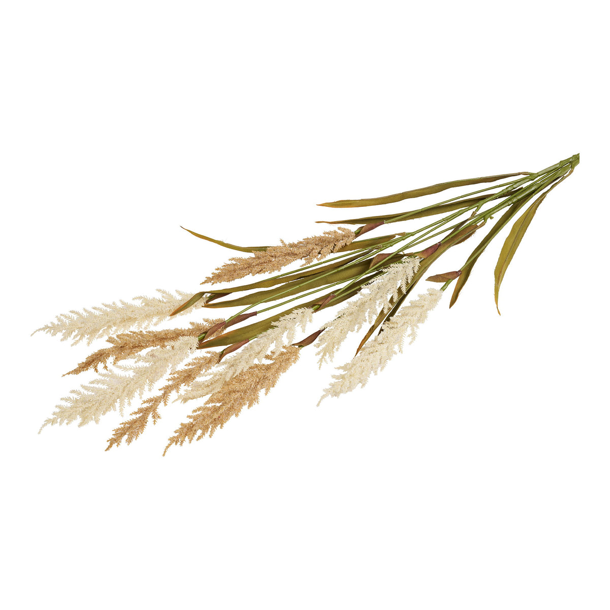 Se HOUSE NORDICÂ kunstig deko græs, m. 2 stilke - beige og sand plastik (H130) ❤ Kæmpe udvalg i House Nordic - Køb online på udsalg og tilbud lige nu ❤ Super billig fragt og lynhurtig levering - Varenummer: Boboonline-122934 og barcode / Ean: 5713917036806 på lager - Udsalg på Interiør,Dekoration,Kunstige planter og blomster,
Interiør,
Dekoration Spar helt op til 57% - Over 739 kendte brands på udsalg