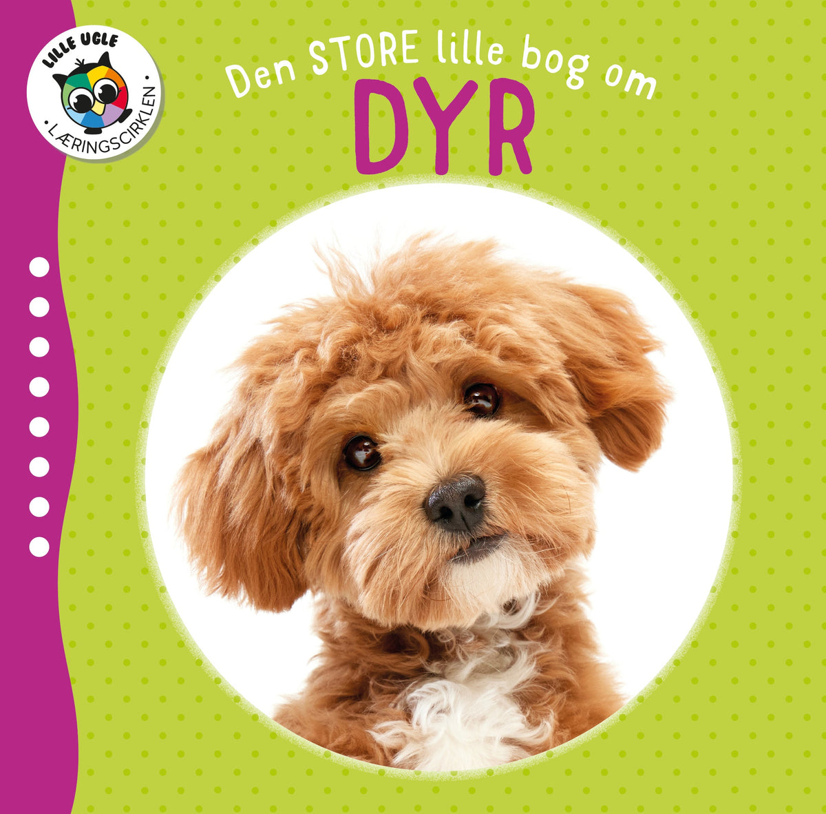 Globe børnebogen Den Store Lille Bog om Dyr med fotos af dyr
