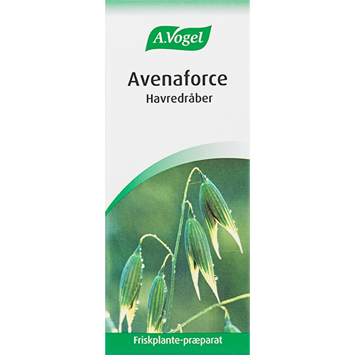A. Vogel Avenaforce, flaske med tinktur af frisk havreurt, 100 ml