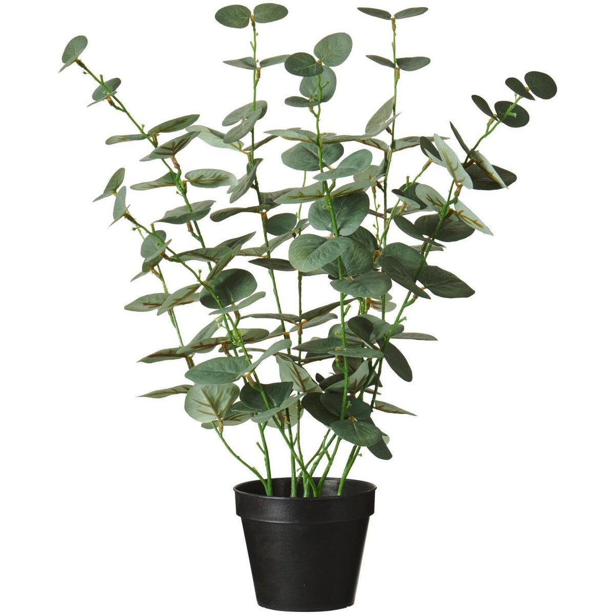 Se Ib Laursen - Kunstig Eukalyptus i Potte - 52 cm - Grøn ❤ Kæmpe udvalg i Ib Laursen - Køb online på udsalg og tilbud lige nu ❤ Lav fragtpris og hurtig levering - Varenummer: Bolig&Haven-60982132146506 og barcode / Ean: 5709898391874 på lager - Udsalg på Store besparelser – op til 67% - 2.739+ brands til skarpe priser