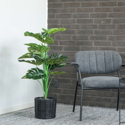 Se billigt tilbud på Monstera - Kunstig plante, 90 cm. Stort udvalg online. Hurtig levering: 1-2 hverdage. Billig fragt. Varenummer: 3NDC-4602. Udsalg på Boligtilbehør > Kunstige blomster. Spar op til 66%.