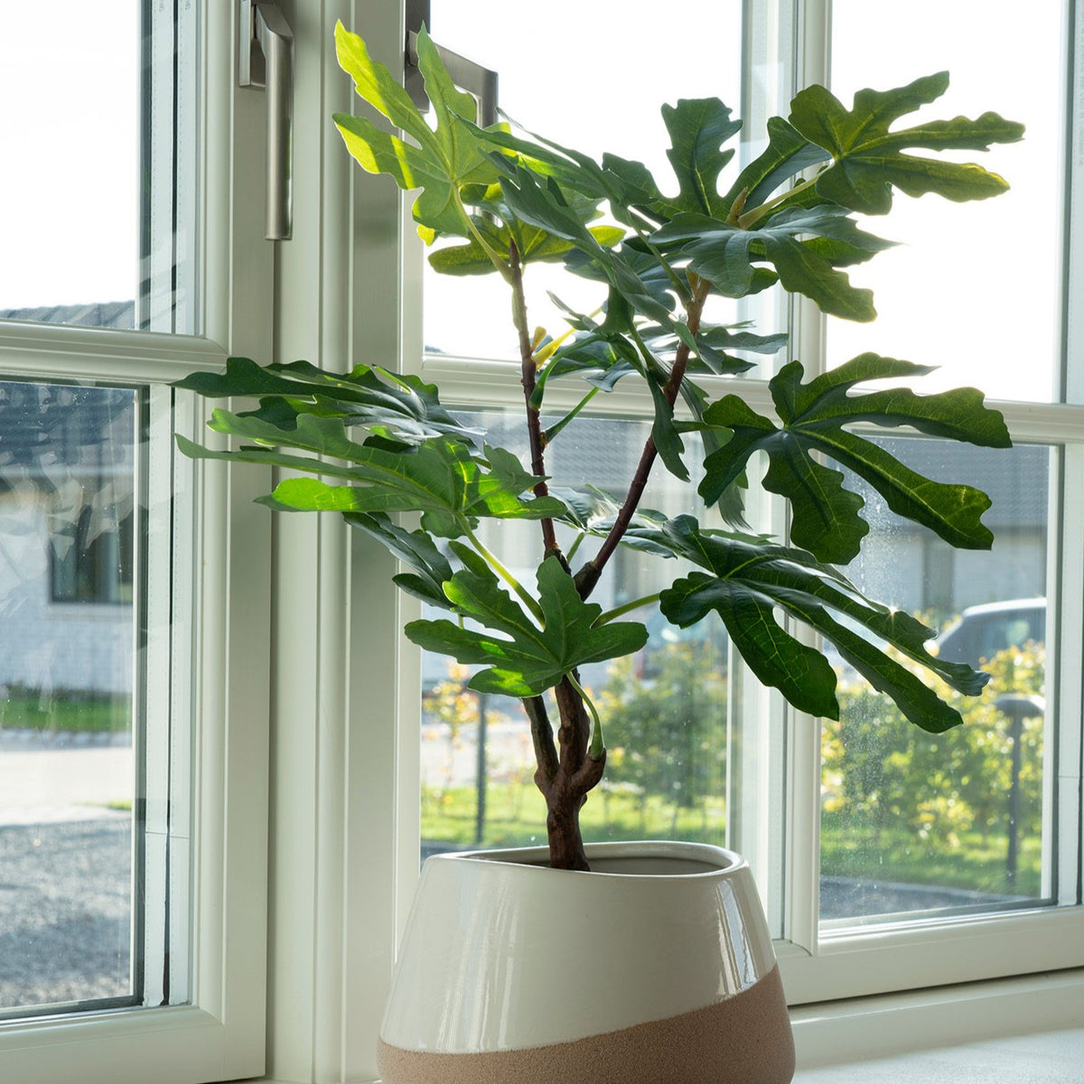 Se Figentræ - Kunstig plante, højde 50 cm. ❤ Kæmpe udvalg i 3-nordic - Køb online på udsalg og tilbud lige nu ❤ Super billig fragt og lynhurtig levering - Varenummer: 3-nordic-4597 og barcode / Ean: 5713917022588 på lager - Udsalg på Boligtilbehør - Accessories Spar stort – op til 71% - Over 2.739 kendte brands på stort udsalg