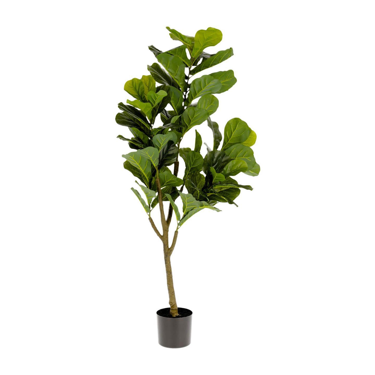 Se KAVE HOME Ficus kunstig plante - grøn polyethylen (H:150) ❤ Kæmpe udvalg i Kave Home - Køb online på udsalg og tilbud lige nu ❤ Meget billig fragt og hurtig levering: 1 - 2 hverdage - Varenummer: Boboonline-95680 og barcode / Ean: 8433840571195 på lager - Udsalg på Interiør,Dekoration,Kunstige planter og blomster,
Interiør,
Dekoration,
Møbler til hjemmekontoret,
Kunstige planter, Spar op til 51% - Over 785 kendte brands på udsalg
