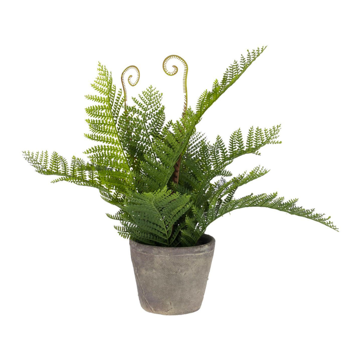 Se KAVE HOME Filicopsida kunstig plante - grøn polyethylen og grå cement (H:35) ❤ Kæmpe udvalg i Kave Home - Køb online på udsalg og tilbud lige nu ❤ Meget billig fragt og hurtig levering: 1 - 2 hverdage - Varenummer: Boboonline-95681 og barcode / Ean: 8433840571294 på lager - Udsalg på Interiør,Dekoration,Kunstige planter og blomster,
Interiør,
Dekoration,
Møbler til hjemmekontoret,
Kunstige planter, Spar op til 51% - Over 785 kendte brands på udsalg