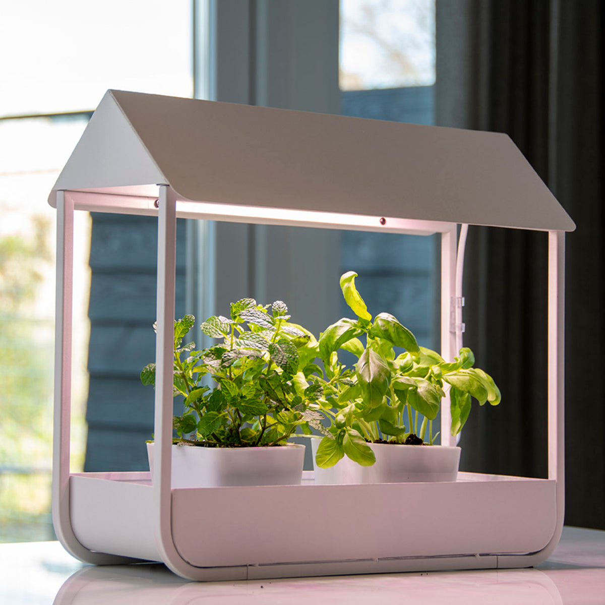 Se Garden Life - Mini væksthus m. LED belysning og autotimer, Hvid, 43 x 17 x 37 cm ❤ Kæmpe udvalg i Garden Life - Køb online på udsalg og tilbud lige nu ❤ Meget billig fragt og hurtig levering - Varenummer: Bolig&Haven-51608593465674 og barcode / Ean: 8714982211553 på lager - Udsalg på Spar helt op til 73% - Stort udsalg på over 739 brands