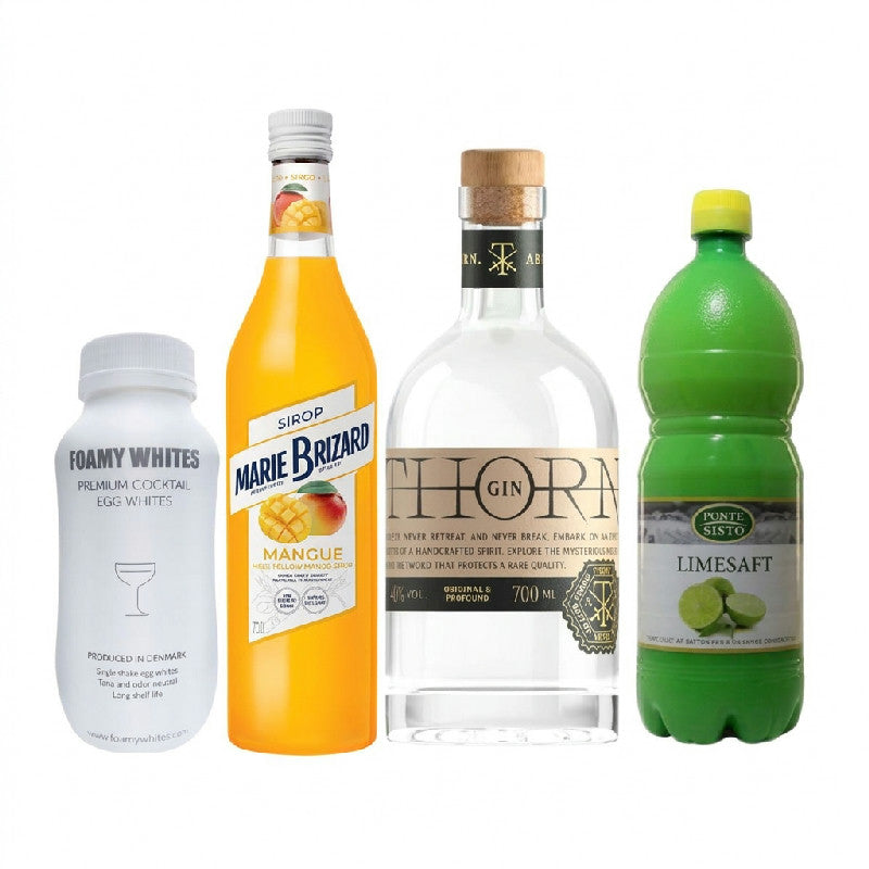 Gin Hass Sour drinkspakke fra Marie Brizard til cocktail derhjemme