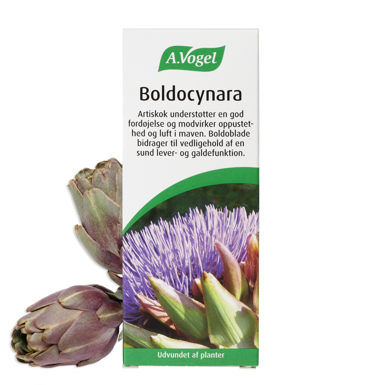 Flaske med A. Vogel Boldocynara, 100 ml