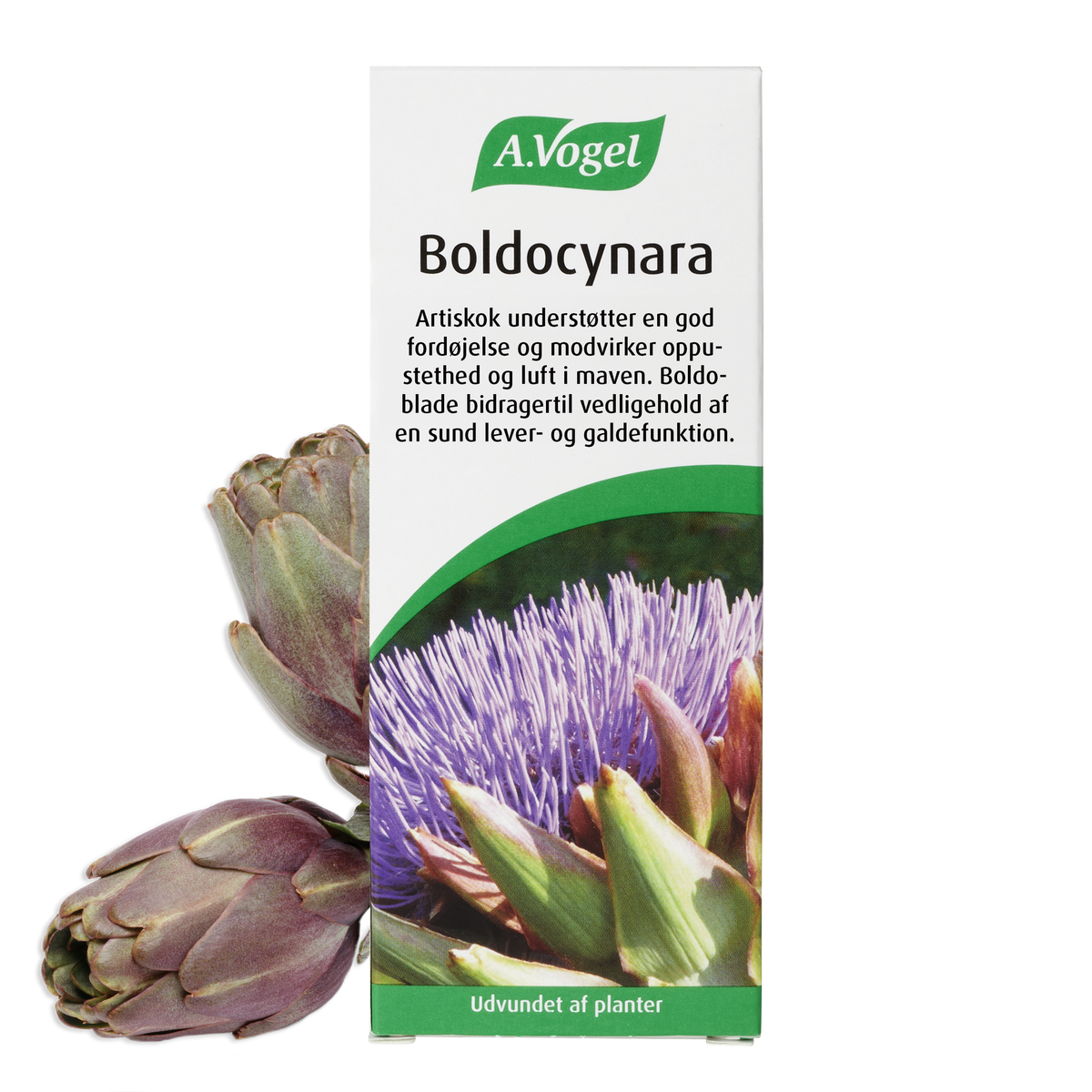 Flaske med A. Vogel Boldocynara, 50 ml