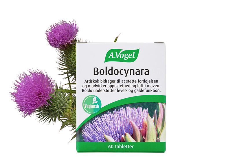 A. Vogel Boldocynara kosttilskud, pakke med 60 tabletter