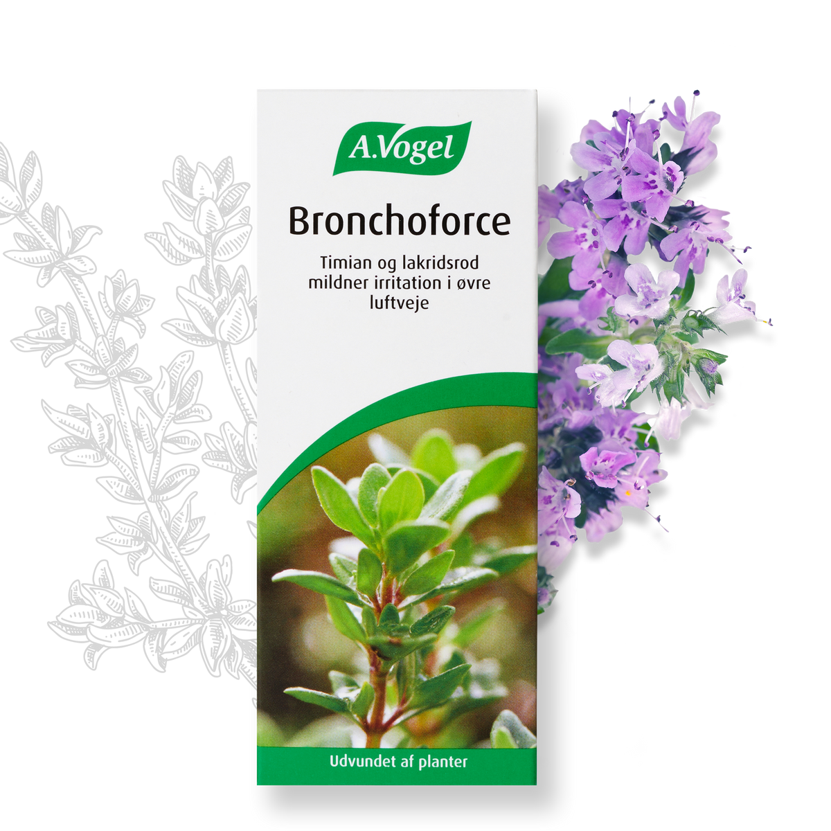 A. Vogel Bronchoforce, 50 ml