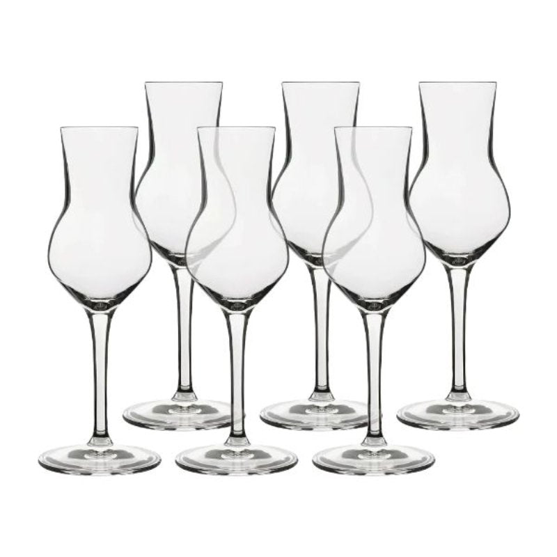 Sæt med 6 klare grappaglas fra Lb Atelier, 8 cl, med tulipanformet glas