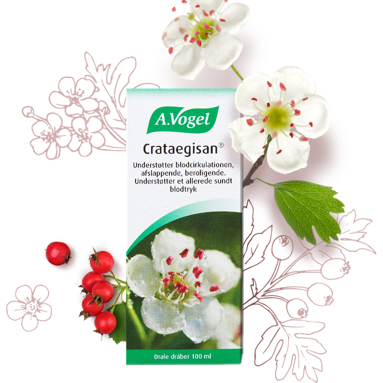 Flaske med A. Vogel Crataegisan, 100 ml