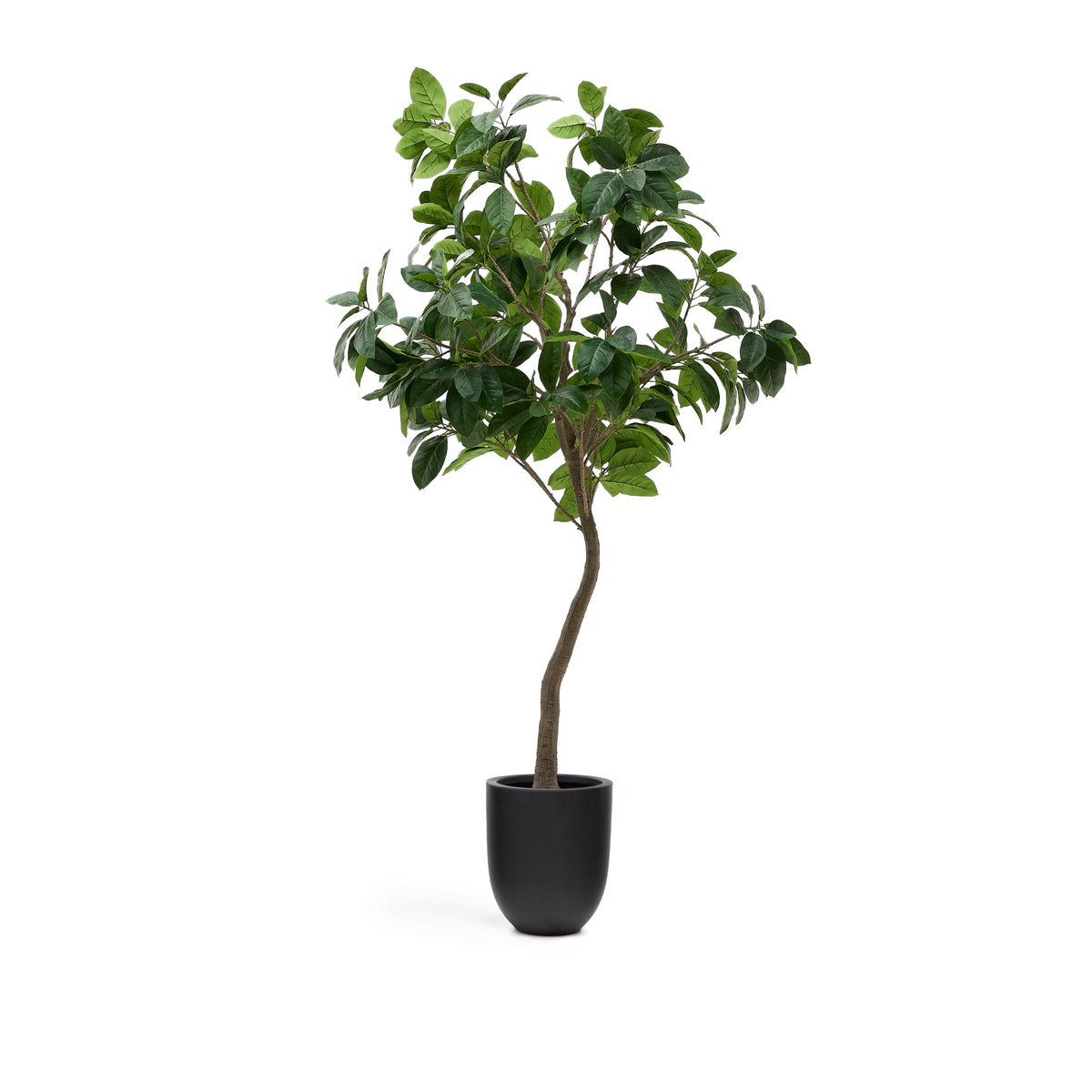 Se KAVE HOME Kunstig Ficus træ - grøn plast i sort potte (H:210cm) ❤ Kæmpe udvalg i Kave Home - Køb online på udsalg og tilbud lige nu ❤ Meget billig fragt og hurtig levering: 1 - 2 hverdage - Varenummer: Boboonline-117685 og barcode / Ean: 8433840906362 på lager - Udsalg på Interiør,Dekoration,Kunstige planter og blomster,
Interiør,
Dekoration,
Møbler til hjemmekontoret,
Kunstige planter, Spar op til 51% - Over 785 kendte brands på udsalg
