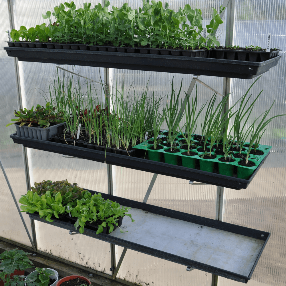 Stor plantebakke i plast med vandingsriller fra GrowCamp
