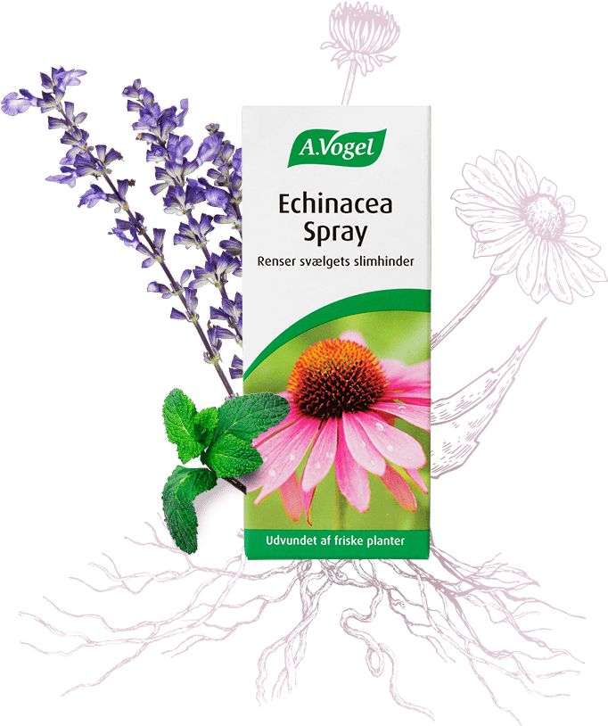 A. Vogel Echinacea Spray, kosttilskud i 30 ml sprayflaske